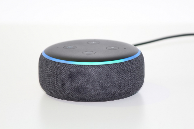 Первый этап восстания машин: колонка с Amazon Alexa предложила ребёнку смертельно опасный челлендж