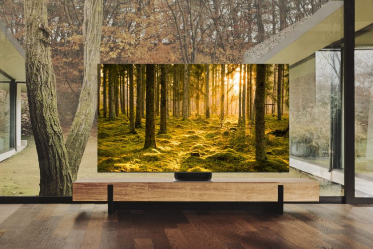 Samsung и LG продолжают доминировать на рынке телевизоров и наращивают продажи OLED