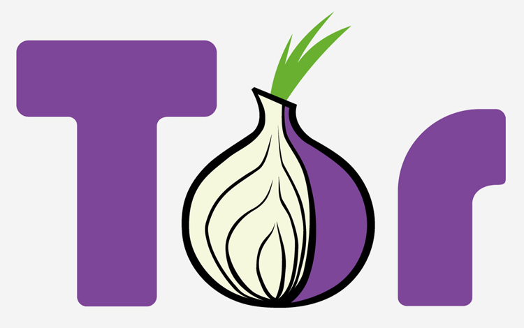 Роскомнадзор потребовал от Google удалить Tor Browser из российского Play Маркета