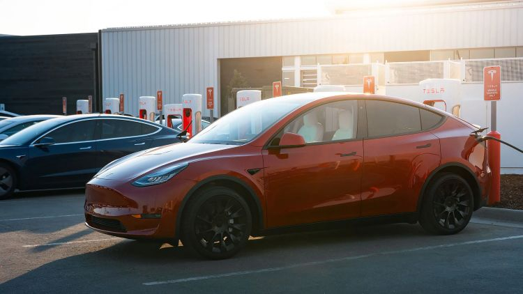 Tesla Model Y в этом году может стать самым продаваемым электромобилем