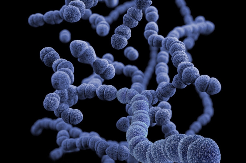 Anaerobe: аминокислота серин блокирует формирование спор бактерий при отравлении