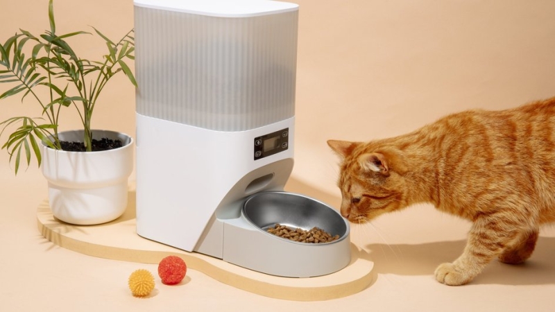 автоматическая кормушка