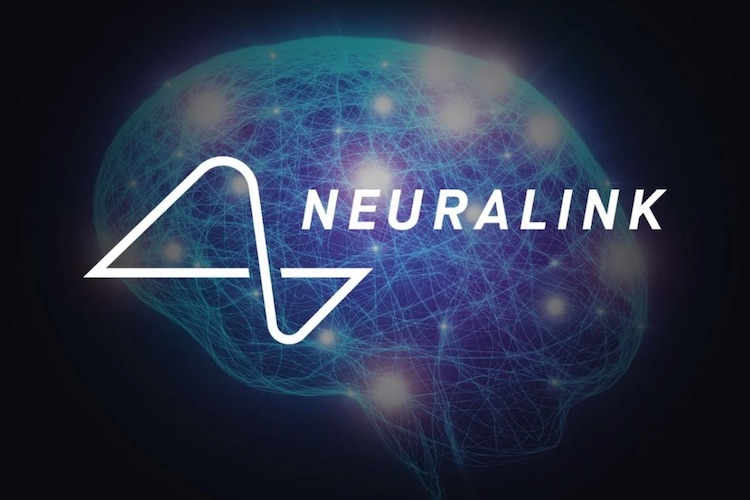 Neuralink опровергла обвинения в жестоком обращении с животными при тестировании своих мозговых имплантатов