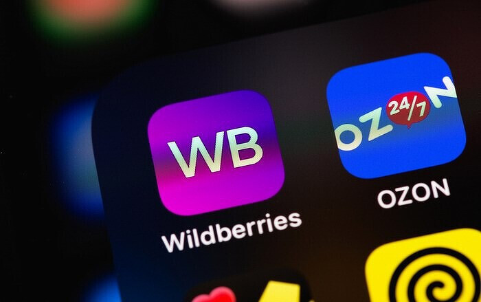Юную россиянку отправляют в тюрьму на 10 лет из-за огромной «дыры» в Wildberries. К уголовке привело пользование багом на сайте