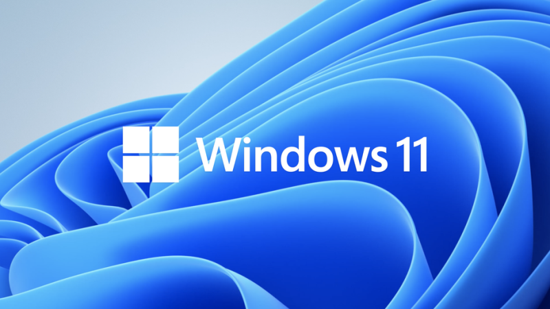 windows 11