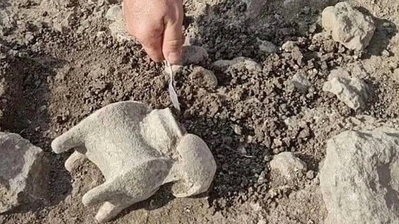 Археологи обнаружили культовые артефакты на месте, известном в Библии как Армагеддон