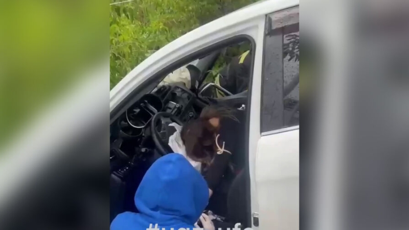 На видео сняли, как спасатели деблокировали зажатую в салоне уфимку после жесткого ДТП