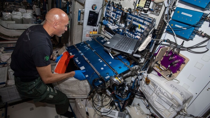 Эксперимент на МКС