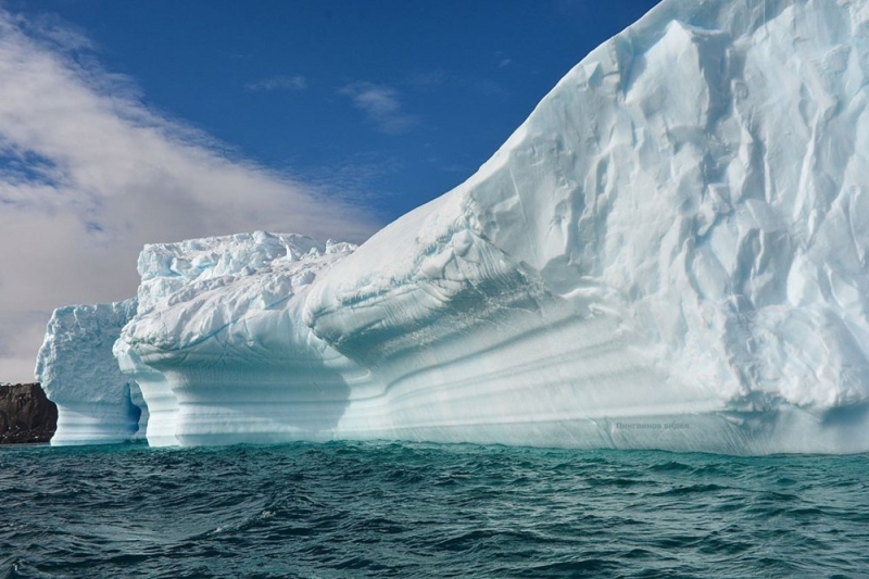 Фото: t.me/aari_official