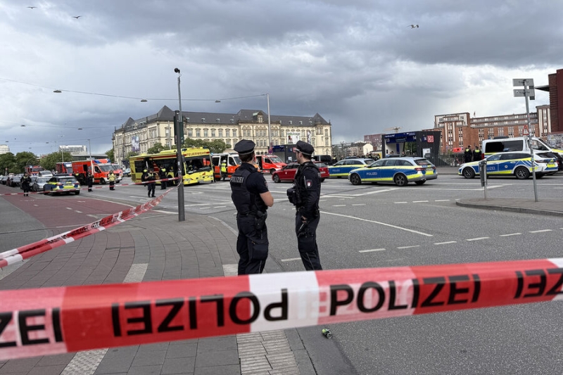 Подозреваемую в нападении на вокзале в Гамбурге могут поместить в психбольницу