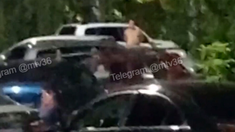 Полуголый воронежец разбивал автомобили, и это попало на видео