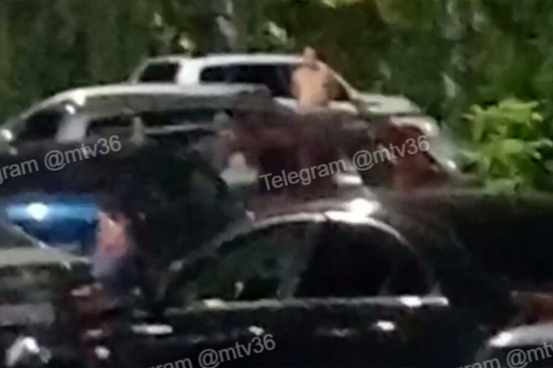 Полуголый воронежец разбивал автомобили, и это попало на видео