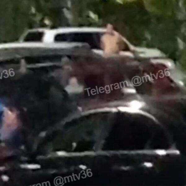 Полуголый воронежец разбивал автомобили, и это попало на видео