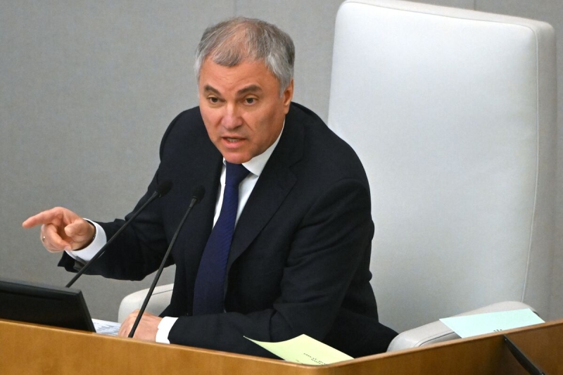 Председатель Госдумы назвал разницу между политиками и государственниками