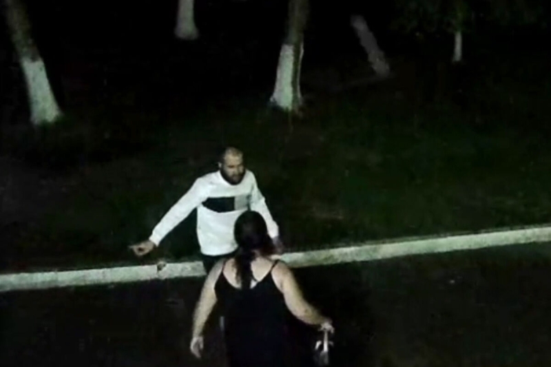 Приморчанин изнасиловал женщину на трассе и попал на видео