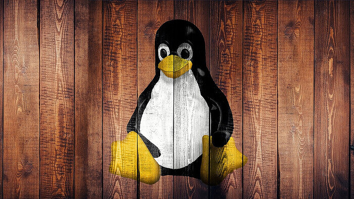 Rust – это яд, а не лекарство. Разработчики Linux: отказ от С и переход на другой язык – путь в бездну