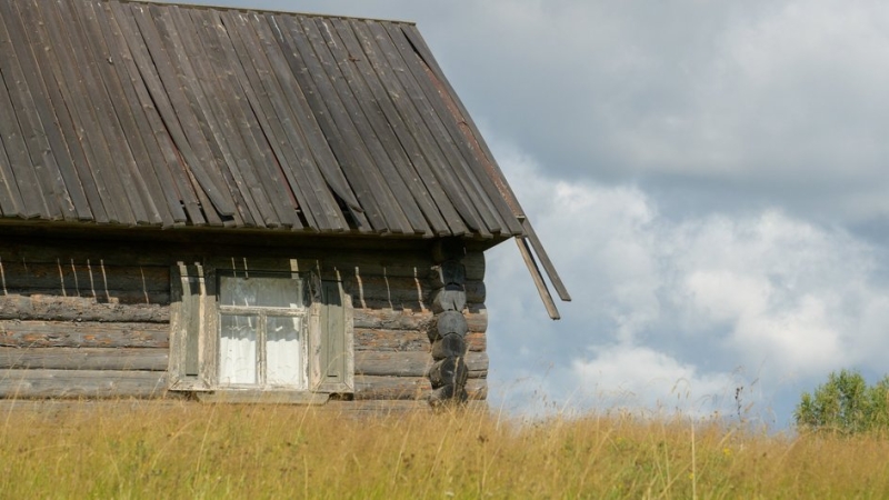 Кадр из телешоу «Первые на деревне»