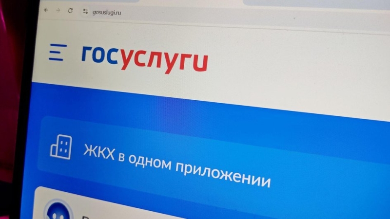 Свыше 100 млн человек используют «Госуслуги»