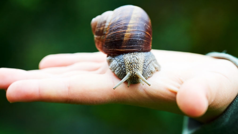 Ученая рассказала о рисках модной косметологической процедуры