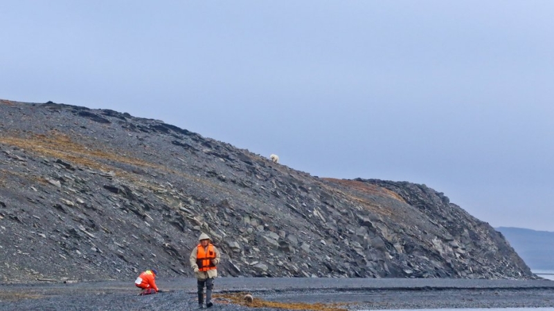 Новая Земля