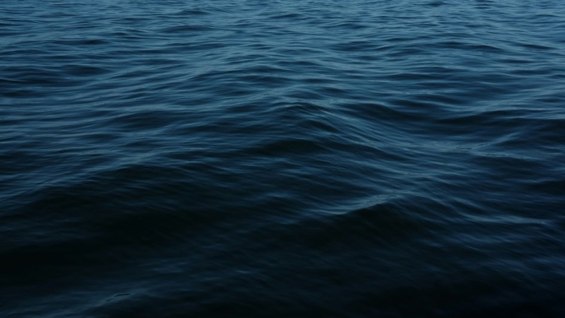В 2025 году температура вод Мирового океана оказалась рекордной