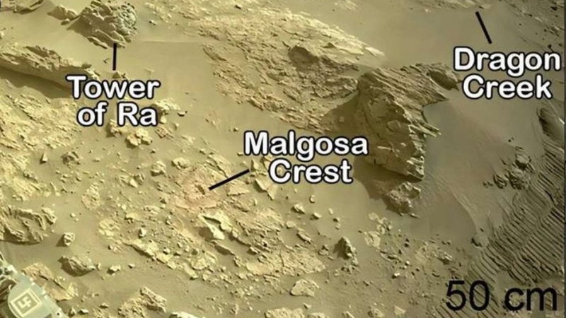 Nature Communications (2026). DOI: 10.1038/s41467-026-70081-3