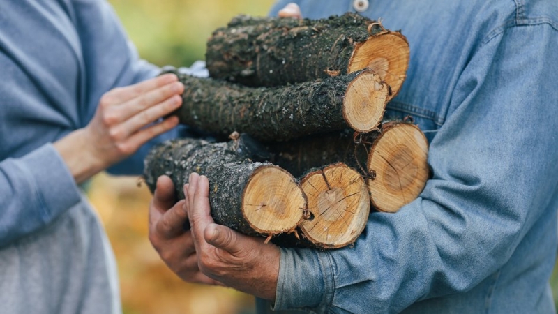 Дрова, древесина