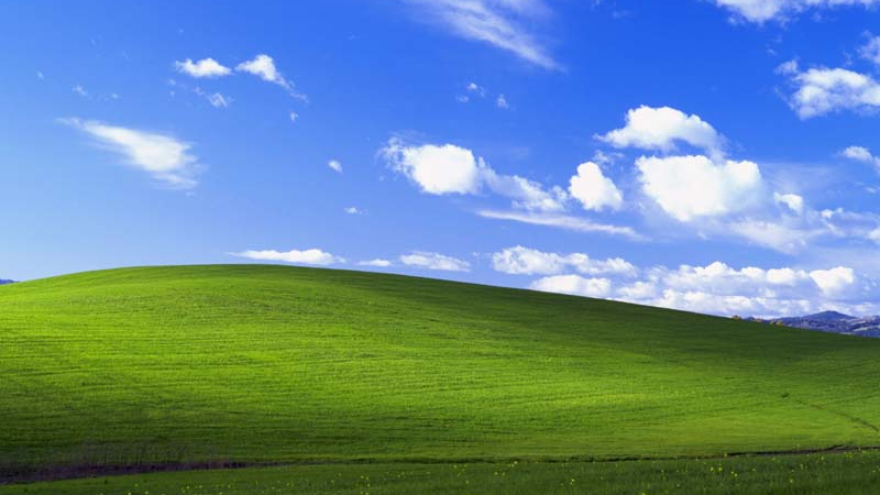 Обои «Безмятежность» на Windows XP. Ностальгия? Фото: wikimedia / Чарльз О’Риэр / добросовестное использование