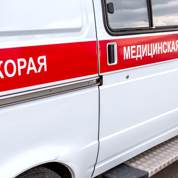 В Дагестане ветка дерева упала на туристок, одну из них не спасли