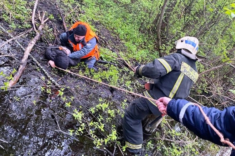 В Ивановской области школьник по пояс застрял в болоте