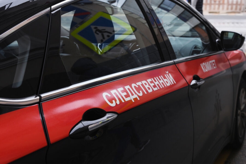 В Ленобласти опека забрала у матери дочь за двухчасовое избиение